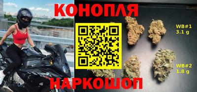 стаф Малоярославец