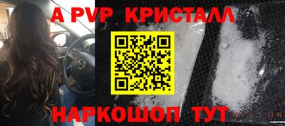 стаф Малоярославец