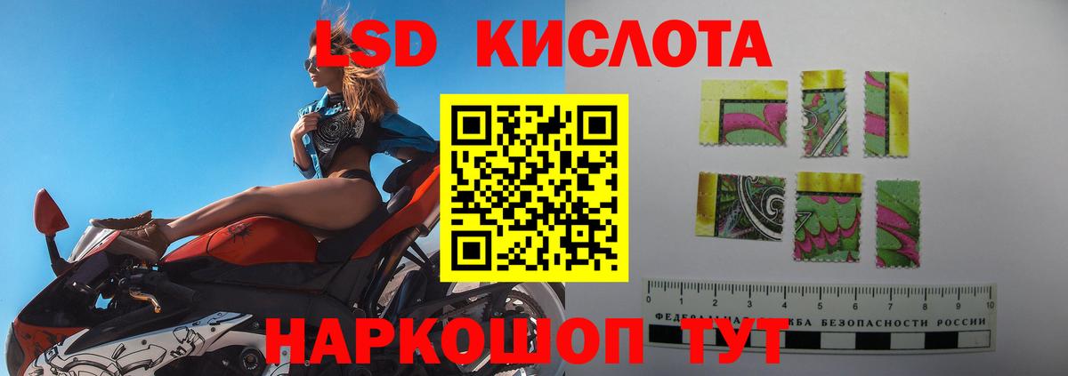 МЕФ Чита