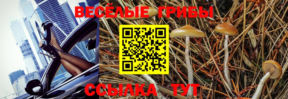Псилоцибиновые грибы Psilocybine cubensis  Вход с VPN  Чита  Псилоцибиновые грибы прущие грибы 